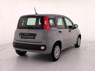 FIAT Panda 1.2 easy s&s 69cv my19