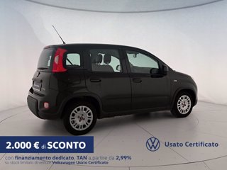 FIAT Panda 1.0 firefly hybrid s&s 70cv